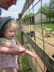 Petting farm