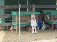 Petting farm