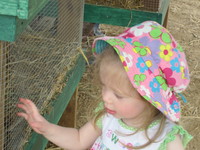Petting farm