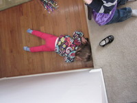 Sleepy on the hardwood floor