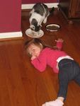 Sleepy on the hardwood floor