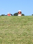Sofie and Al