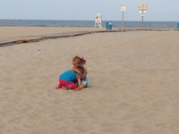 Making friends on the beach